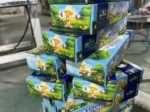 Automatic Horizontal Multi-Functional Cartoner Box Packing Cartoning Sealing Closing Machine - Image 2
